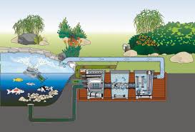 Why need filtration in your aquarium Supply