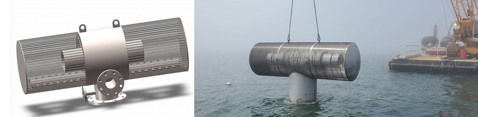 Crucial Role of Water Intake Screens in Lake Irrigation