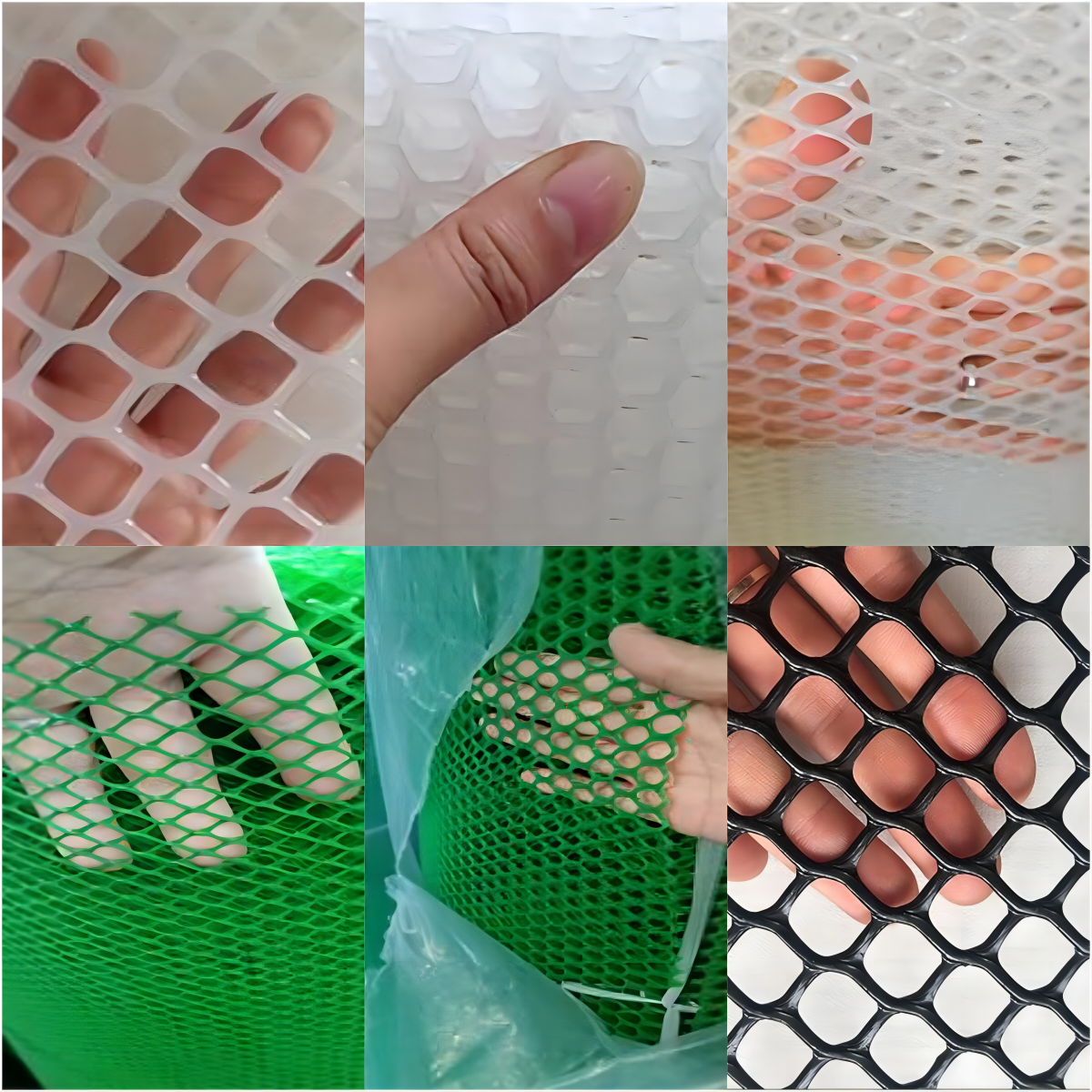 Plastic Flat Netting for Breeding and Plastic Poultry