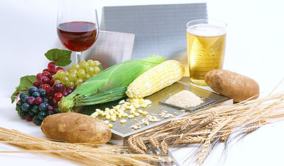 Wedge Wire Screens in Food Processing